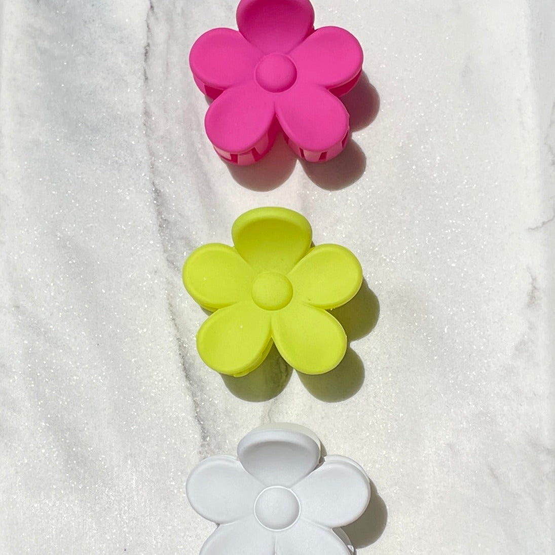 Sol Blooms