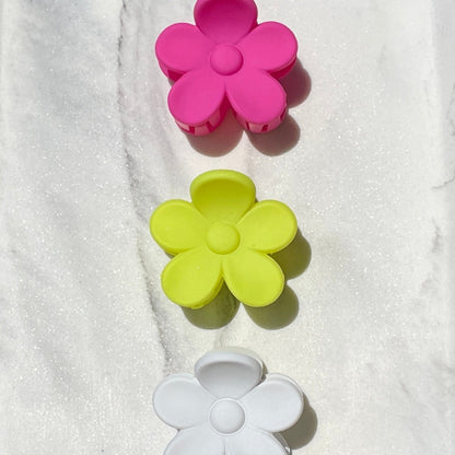 Sol Blooms