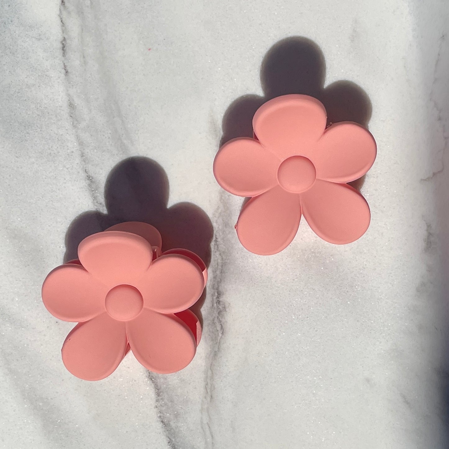 Sol Blooms