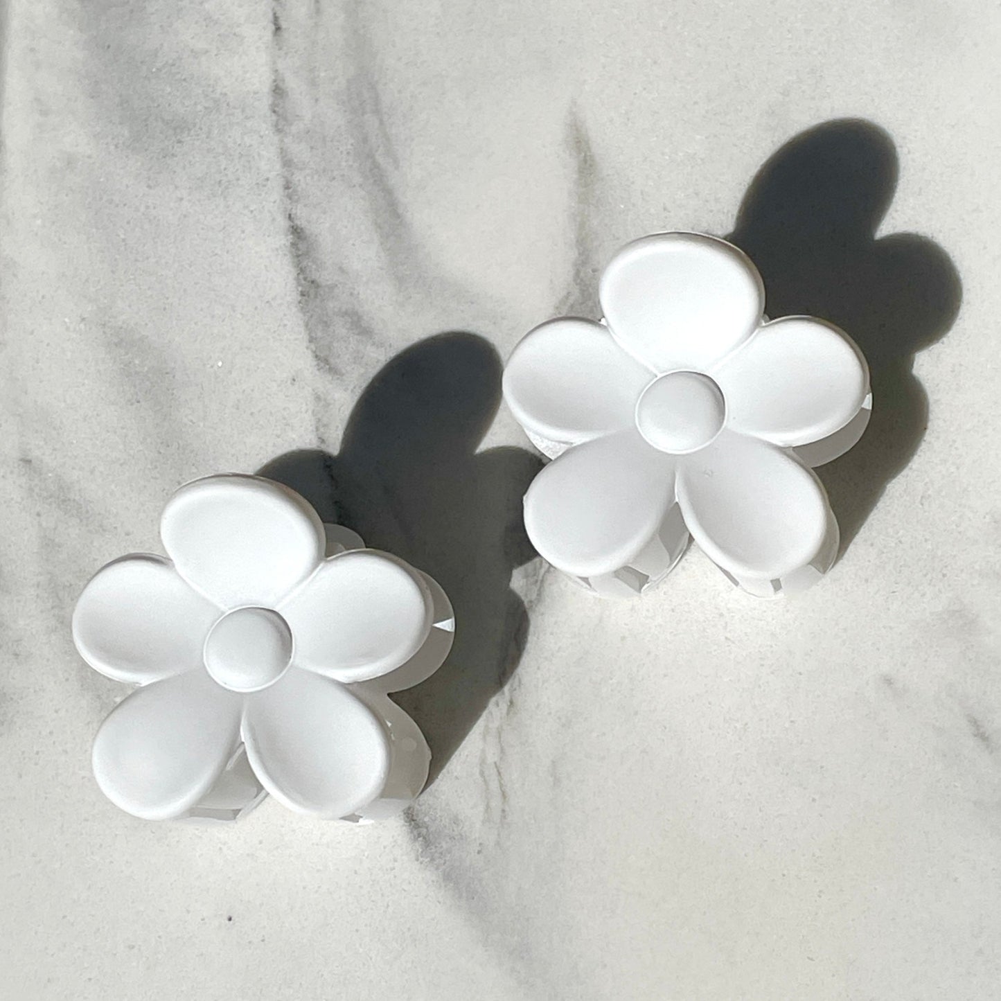 Sol Blooms