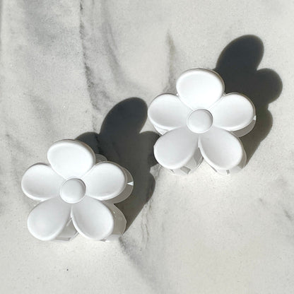 Sol Blooms