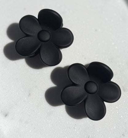 Sol Blooms