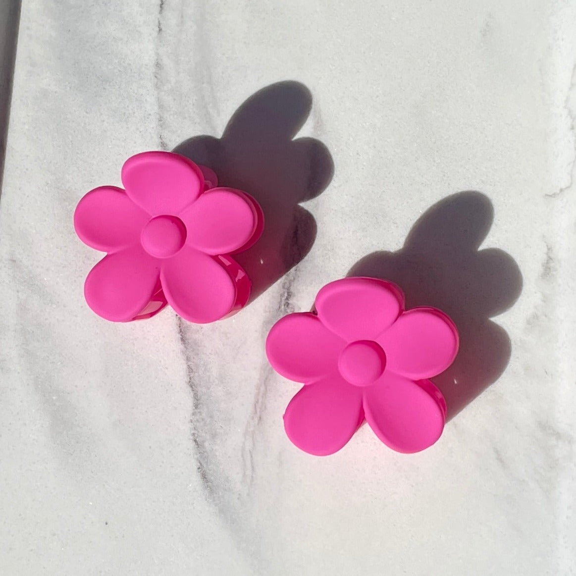 Sol Blooms