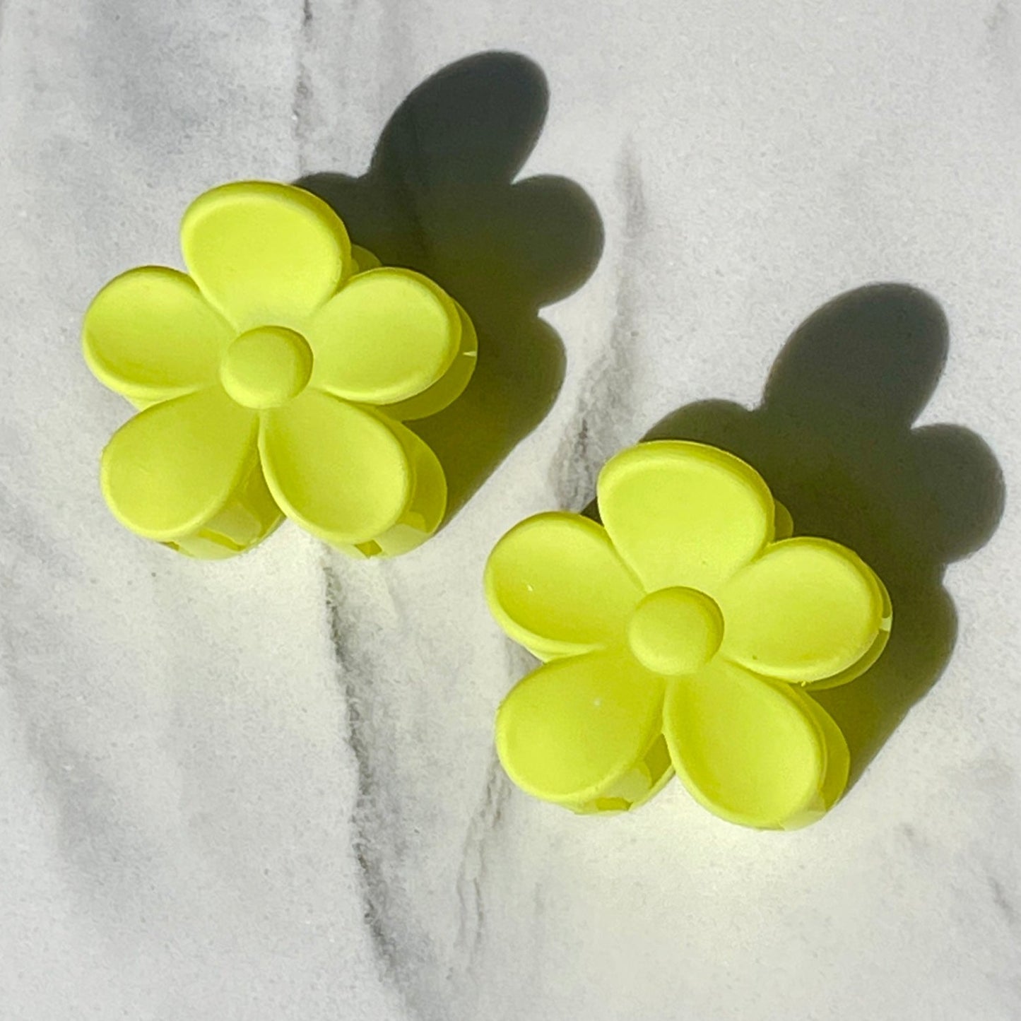 Sol Blooms