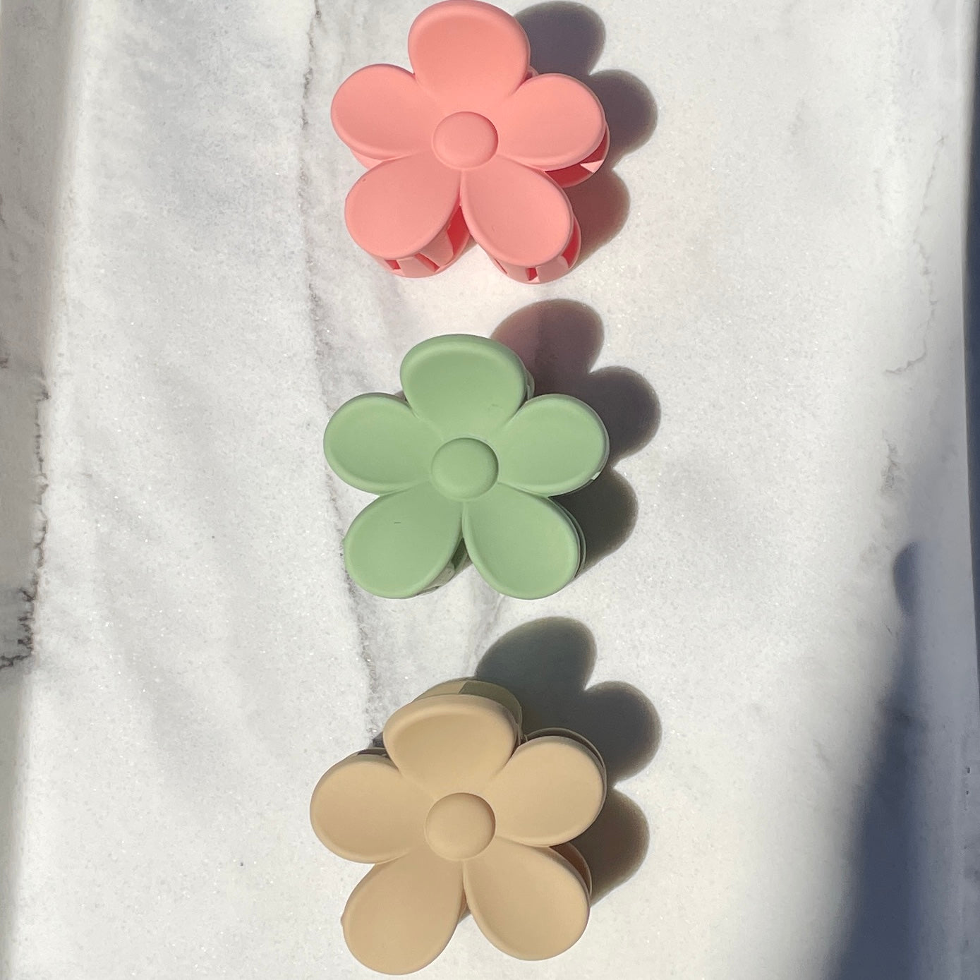 Sol Blooms