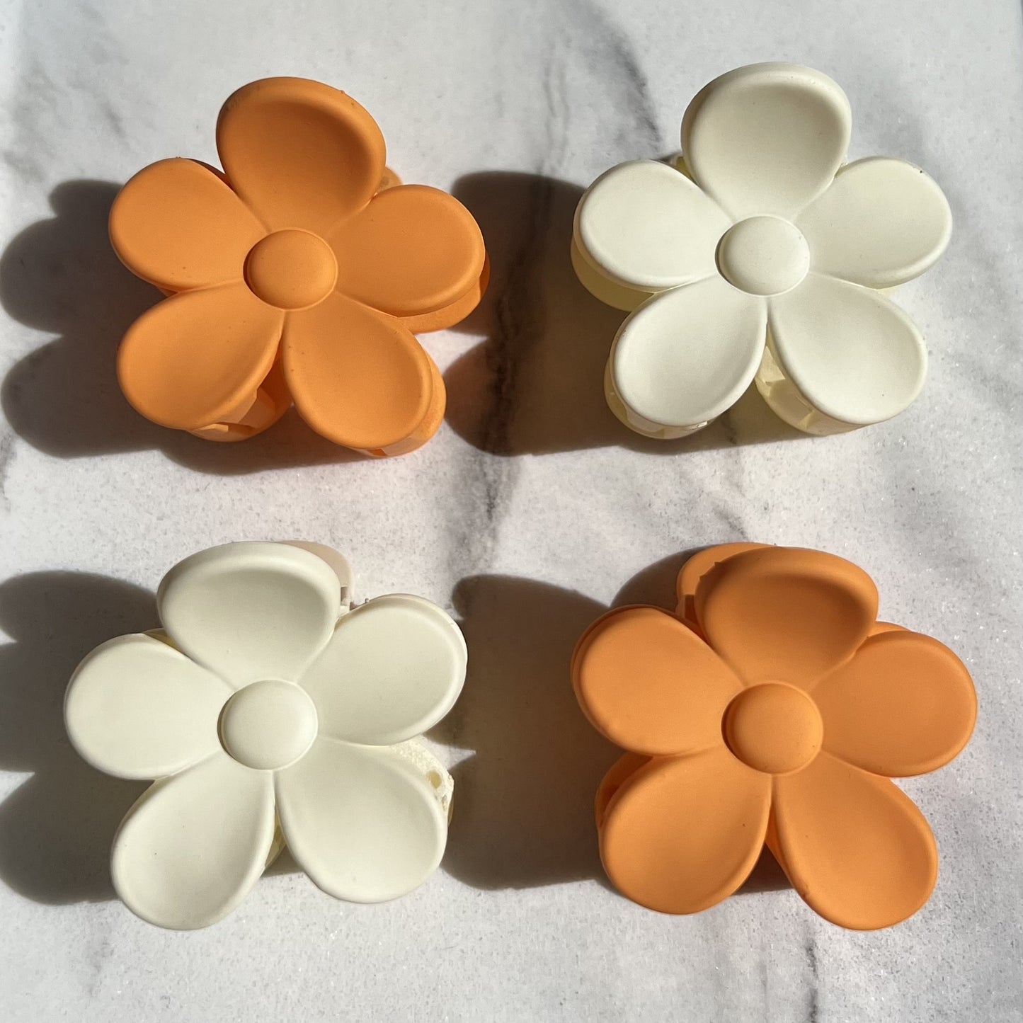 Sol Blooms
