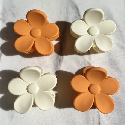 Sol Blooms
